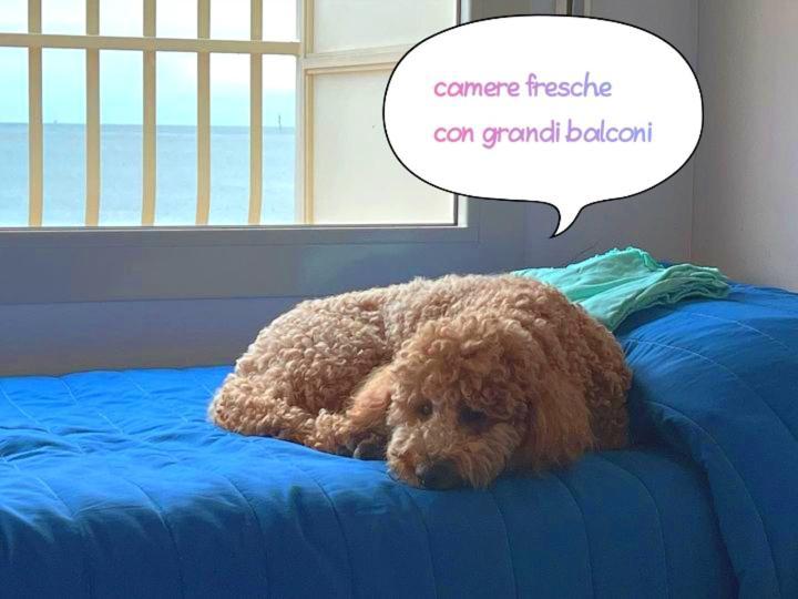 Hotel Buenos Aires Cervia Luaran gambar