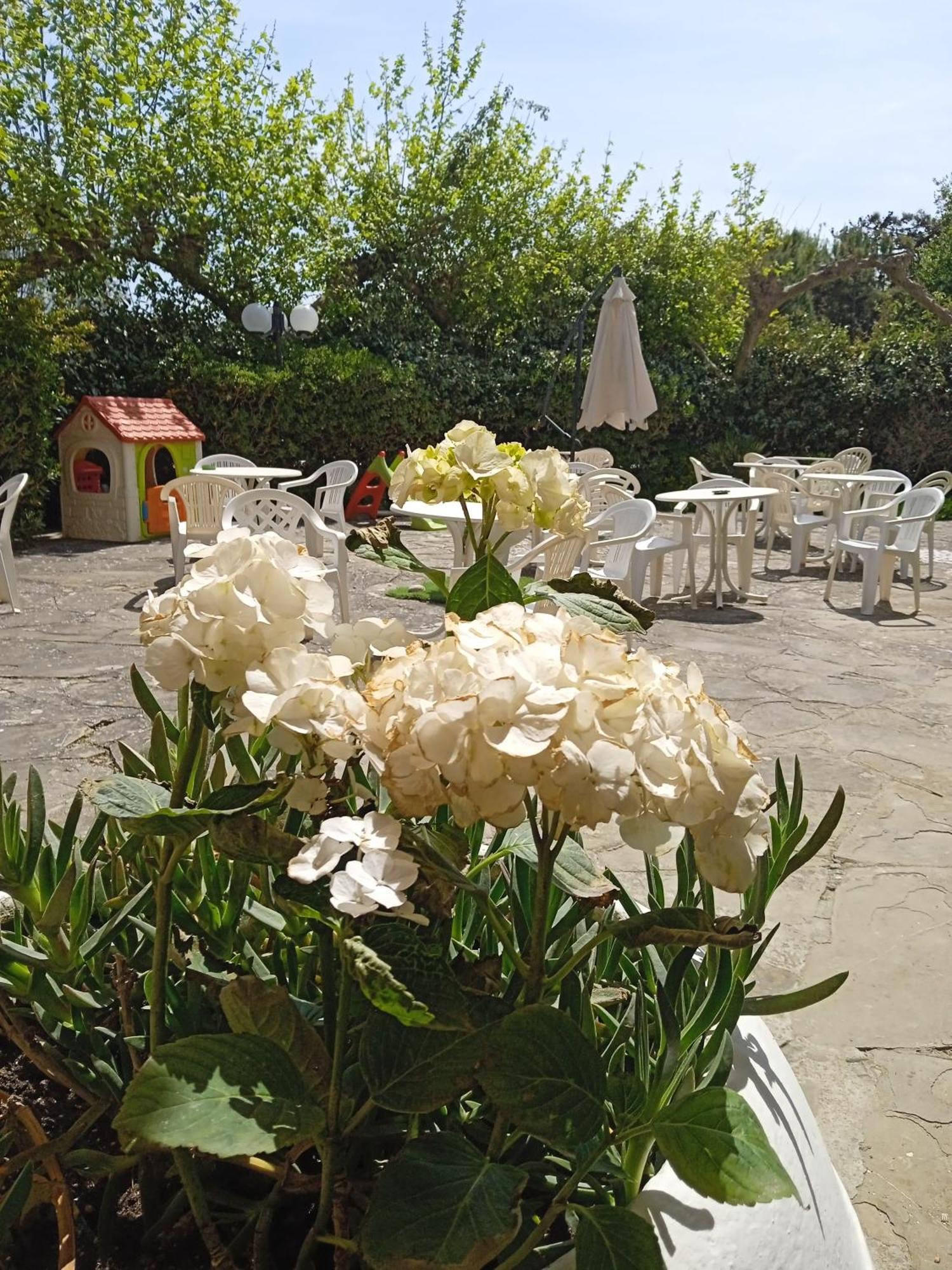 Hotel Buenos Aires Cervia Luaran gambar